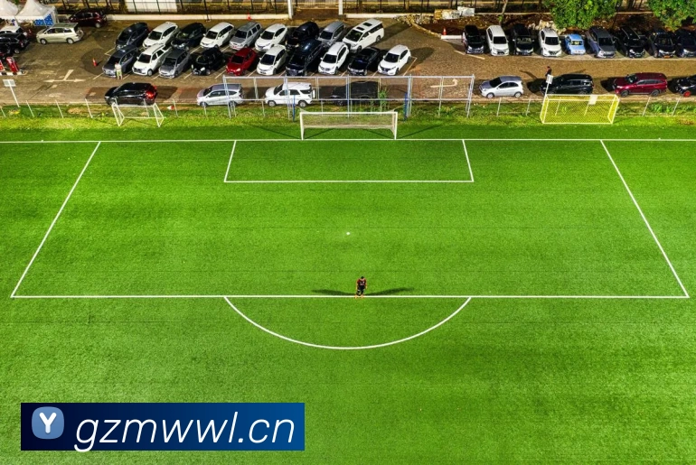 App Interface Preview